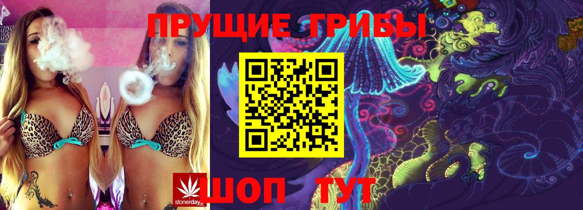 Псилоцибиновые грибы GOLDEN TEACHER  Вход с VPN  цена наркотик  Богородицк 